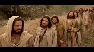 Jesus - Whosoever Will Lose His Life for My Sake Shall Find It - Bible Scriptures for Peace