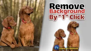 Remove Background by One Click in photoshop #Shorts