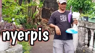 ada aja yang didandanin
