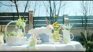 "Easter Story", Зелений Мис Одеса