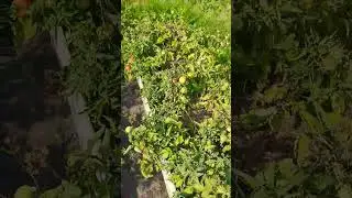 #цытаты#дружба#
