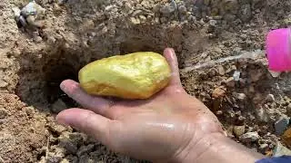 Bast finding a lot of treasure gold used the detector to search