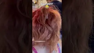 Surprise Guest in Her Hair 😂