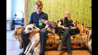 Между нами. Екатерина Плотникова и Макс Радман - большие друзья кошек и собак
