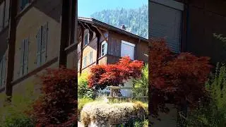 beautiful ❤️ #travel #beautiful #trending #switzerland #travelvlog #europe #destinations