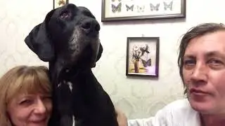 Встреча нового года