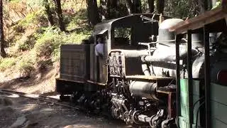Yosemite Mountain Sugar Pine Railroad #10 action