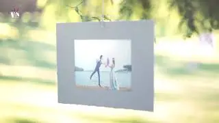 [Share Project] Wedding | Willow Photo Gallery | After Effects VN