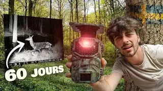I set camera traps for 2 months in a nature reserve!! (I'll show you everything)