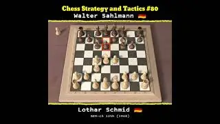 Chess Strategy and Tactics #80 | Lothar Schmid 🇩🇪 Vs Walter Sahlmann 🇩🇪#catur #chess #game #games