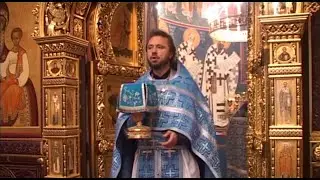 Престольный праздник Владычного монастыря | Введение во храм Пресвятой Богородицы | Серпухов 2012 г.