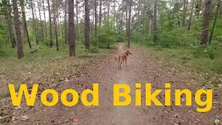 Wood Biking - FPV Longplay