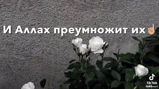 23 августа 2021 г.