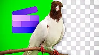 How to use Green Screen in ClipChamp Video Editor