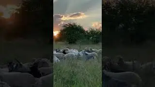 Как вам кадры ?
