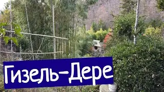 Как живут люди в Гизель-дере, недвижимость, прогулка по окрестностям Туапсе