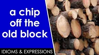 Learn English slang | a chip off the old block | Idioms & expressions
