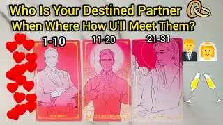 Who Is Your Destined Partner 👫 When Did You Meet Them Hindi Tarot Timeless