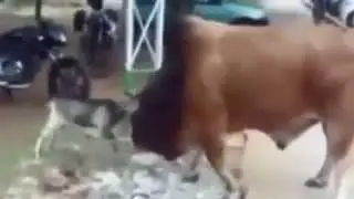 Размер не имеет значение?