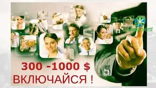 Что за компания Greenleaf за 10 минут о бизнесе и продукции.