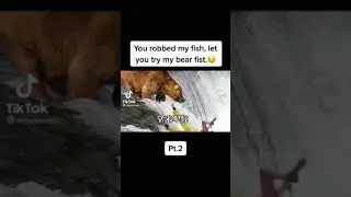Kungfu panda 