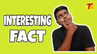 Interesting Fact for Technology in Bangla