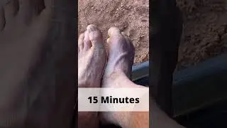 Recovery after an ultra marathon