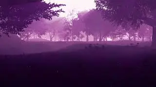 Mysterious Astral Forest Ambient 1 hour / Загадочный астральный лес эмбиент 1 час