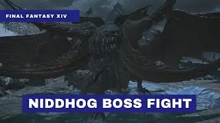 FFXIV: Niddhog Boss Fight | Great Wyrn | Dancer POV