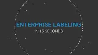 Enterprise Labeling in 15 seconds