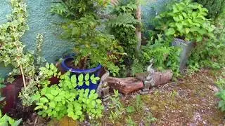 Permaculture...the Insufferable Ego is NOT the Way Forward!