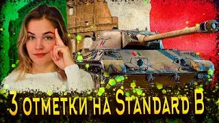 3 ОТМЕТКИ НА Standard B