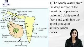 Lecture video on lymphatics of the breast