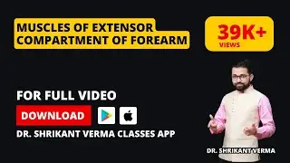 Upper Limb Anatomy | Muscles of Extensor Compartment of Forearm | Dr. Shrikant Verma