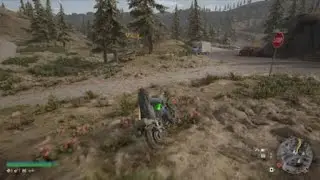 DAYS GONE_PS4 Slim