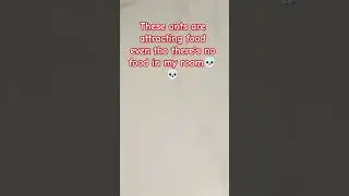 Bro💀💀