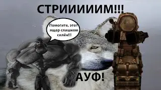 🔥🔥STALCRAFT|Наваливаем по ГЛАДИАТОРАМ 🔥🔥