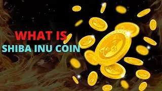 What is SHIBA INU ? How to trade on Shiba coin