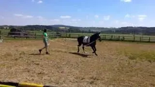 Leňour