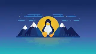 ssh-ngrok development again