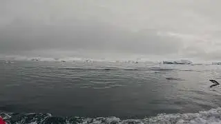 Zodiac Cruising amongst Ice