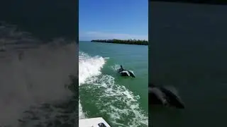 b1980592 cc3d 4253 9ba0 7cb6350f4e19