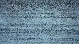 Entity 1-A