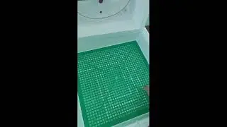 Инкубатор квочка  обзор модели МИ 30 1 Э