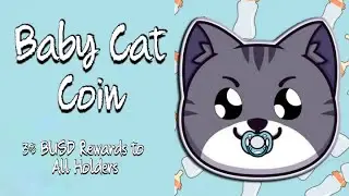 Baby Cat Coin