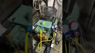 Запуск 🚀 успешный
