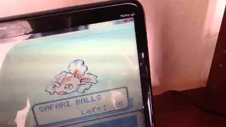 How to not catch dratini in the safari zone
