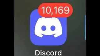 I went offline for Discord for 2 weeks, here's what happened...