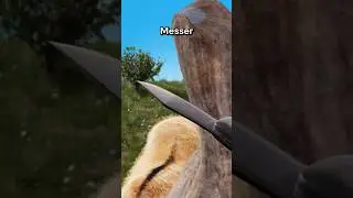 Wie erinnern sich Geweihknochen von Hirschen an Verletzungen🤔? 