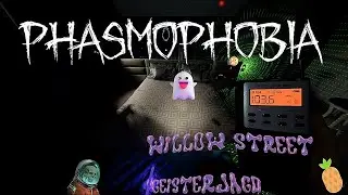 Unterwegs in der Willow Street mit 🍍|Phasmophobia|👻